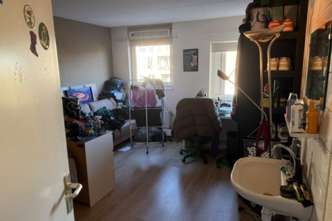 house image
