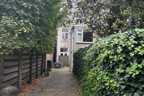 house image