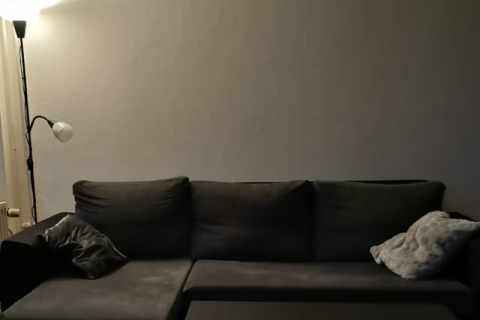 house image