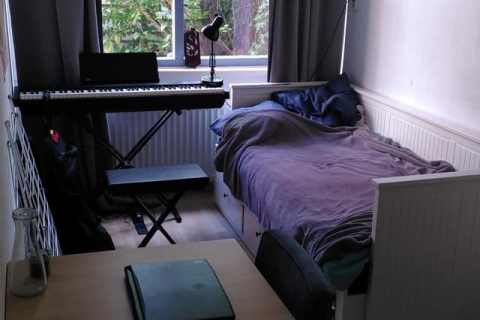 house image