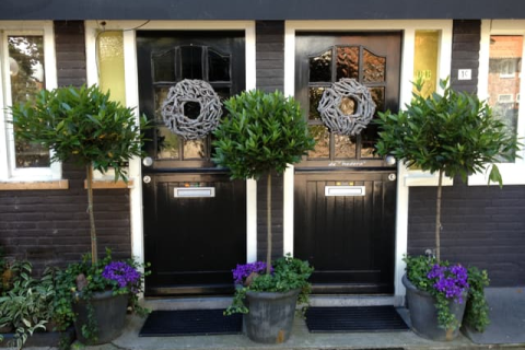 house image