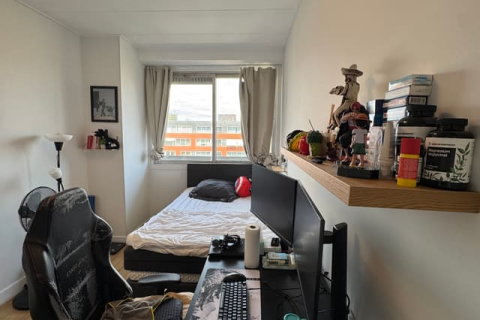 house image