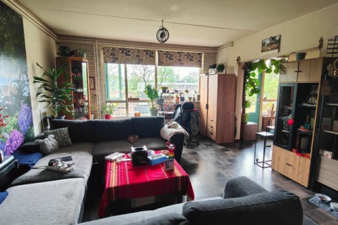 house image