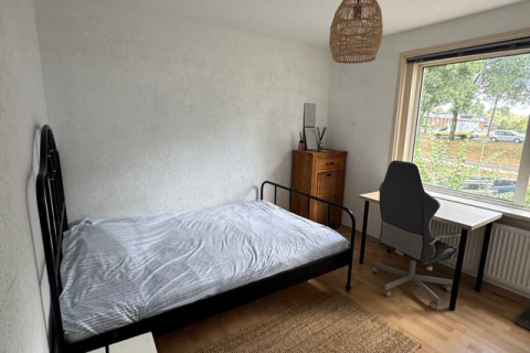 house image