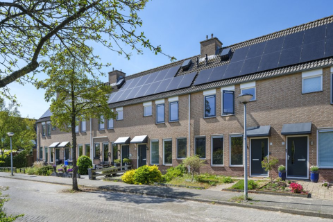 house image