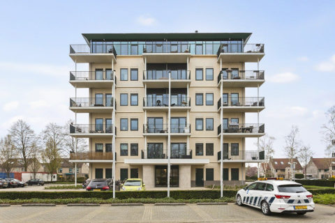 house image