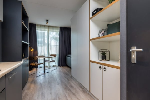 house image