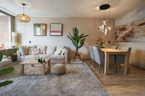 house image