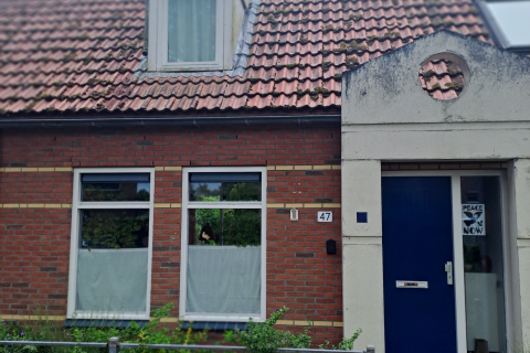 house image