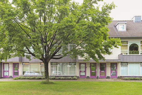 house image