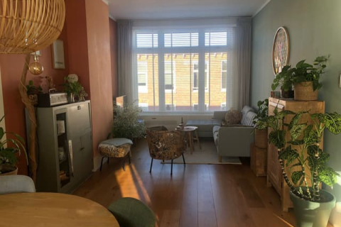 house image