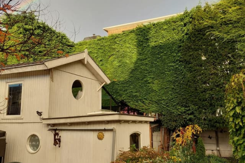 house image