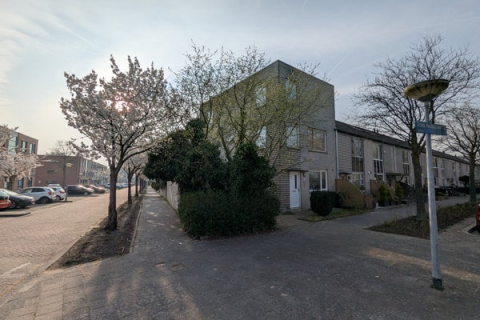 house image