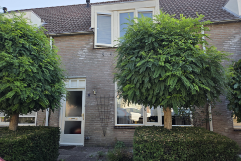 house image