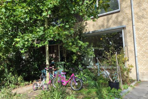 house image