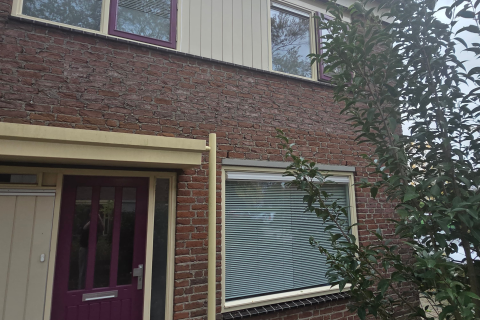 house image