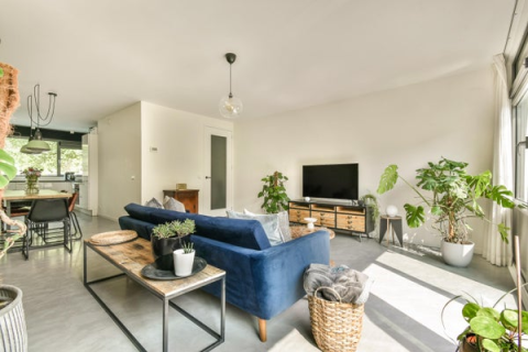 house image
