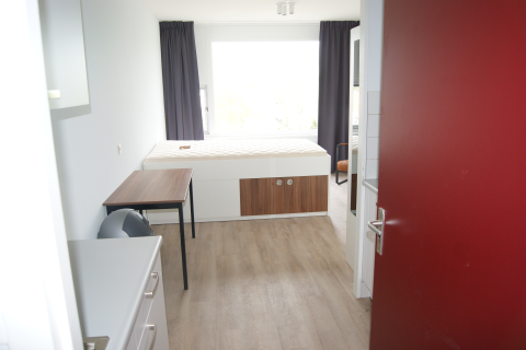 house image