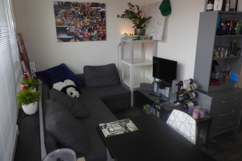 house image