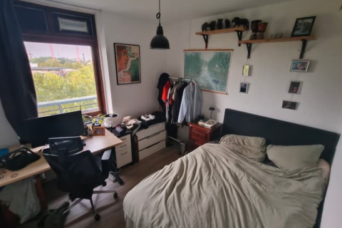 house image