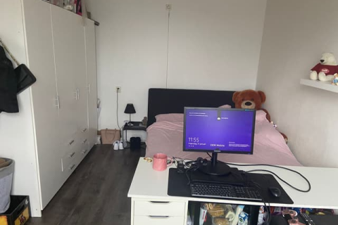 house image