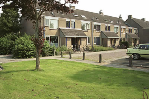 house image