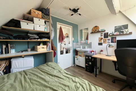 house image