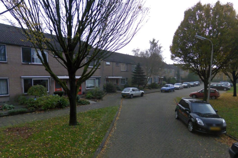 house image