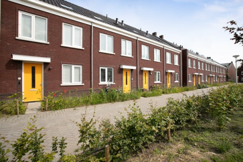 house image