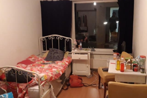 house image